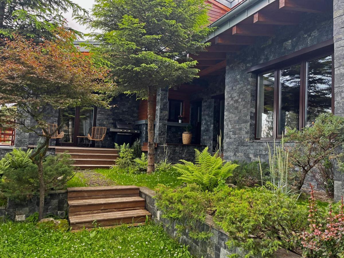 Bazalt Wellness Villa Harghita-Bai Exterior foto