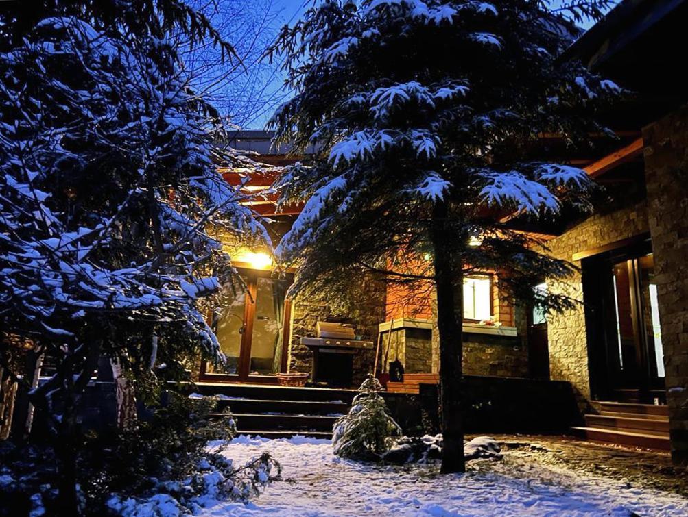 Bazalt Wellness Villa Harghita-Bai Exterior foto